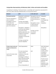 Comparative Neuroanatomy of Mammals, Birds, Turtles and Lizards