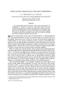 CIRCULAR DNA MOLECULES IN THE GENUS