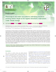 Phenological and water-use patterns underlying maximum