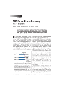 CDPKs – a kinase for every Ca signal?