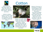 Fairtrade cotton presentation (3mb, ppt)