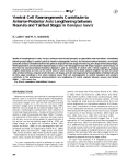 Ventral Cell Rearrangements Contribute to Anterior