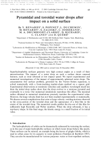 Pyramidal and toroidal water drops after impact on a