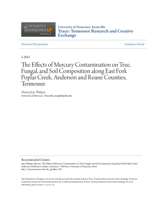 The Effects of Mercury Contamination on Tree, Fungal, and Soil