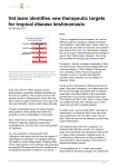 Vet team identifies new therapeutic targets for tropical disease