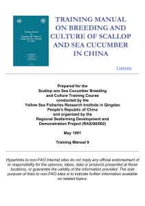Training manual on breeding and culture of scallop and sea