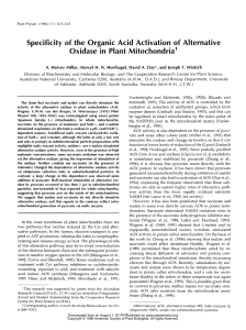 Specificity of the Organic Acid Activation of