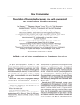 Description of Komagataeibacter gen. nov., with proposals of new