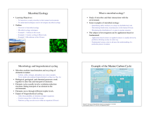 1 Microbial Ecology Example of the Marine Carbon Cycle: