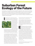 Suburban Forest Ecology of the Future