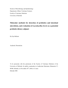 Molecular methods for detection of probiotics and