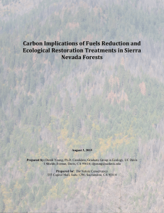 Carbon Implications of Fuels Reduction and Ecological Restoration