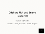 RG_4-23-12_Offshore Fish and Energy