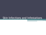 Skin Infections and Infestations