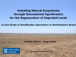 Imitating Natural Ecosystems through Successional Agroforestry for