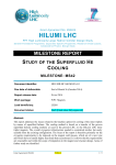 HiLumi LHC Milestone template