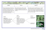 Plant Classification.pub