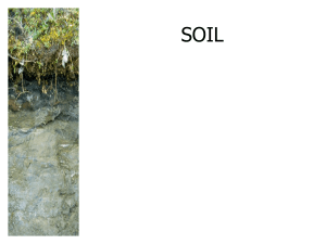 Soil PPT
