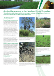 Grazing Management in the Southern Fitzroy Floodplain