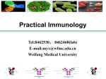 Indirect ELISA