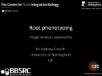 Root phenotyping - European Plant Phenotyping Network