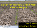 Sulfur for Kentucky Grain Crops: A Meta
