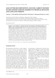 leaf litter decomposition and soil carbon dioxide fluxes