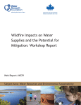 Wildfire Impacts on Water Supplies and the Potential for Mitigation