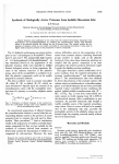 Synthesis of Biologically Active Triazenes from Isolable