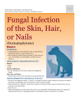 Fungal Infection of the Skin, Hair, or Nails