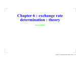 Chapter 6 : exchange rate determination : theory