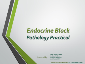 Endocrine practical block