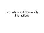Ecosystem and Community Interactions