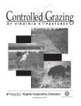 Controlled Grazing of Virginia`s Pastures