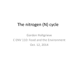 The nitrogen (N) cycle