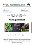 Pruning Handbook - Williamsburg MASTER GARDENERS