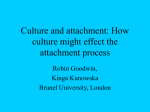 Attachment and Culture