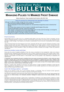 managing pulses to minimize frost damage