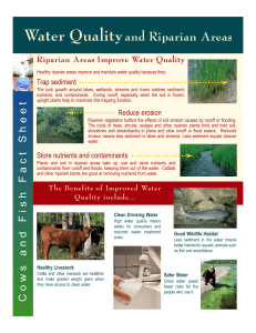 Water Quality and Riparian Areas