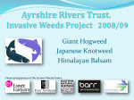 Invasive Weeds Project 2008