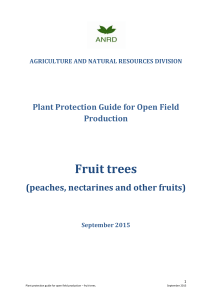 Fruit trees - St Helena « Government