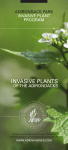 Invasive Plants of the Adirondacks Brochure