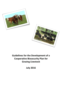 Guidelines for the Development of a