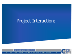 Project Interactions (Real Options)