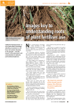 Images key to understanding roots of plant fertiliser