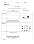 Evolution Exam Review