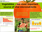 Vegetables – our most important source of vital micronutrients