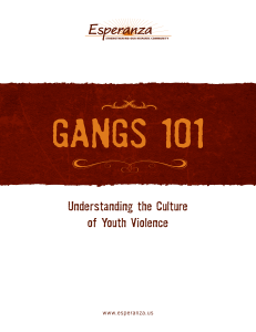 Gangs 101- Understanding the Culture of Youth Violence
