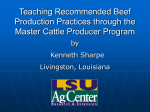 Teaching Recommended Beef Production Practices