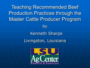 Teaching Recommended Beef Production Practices